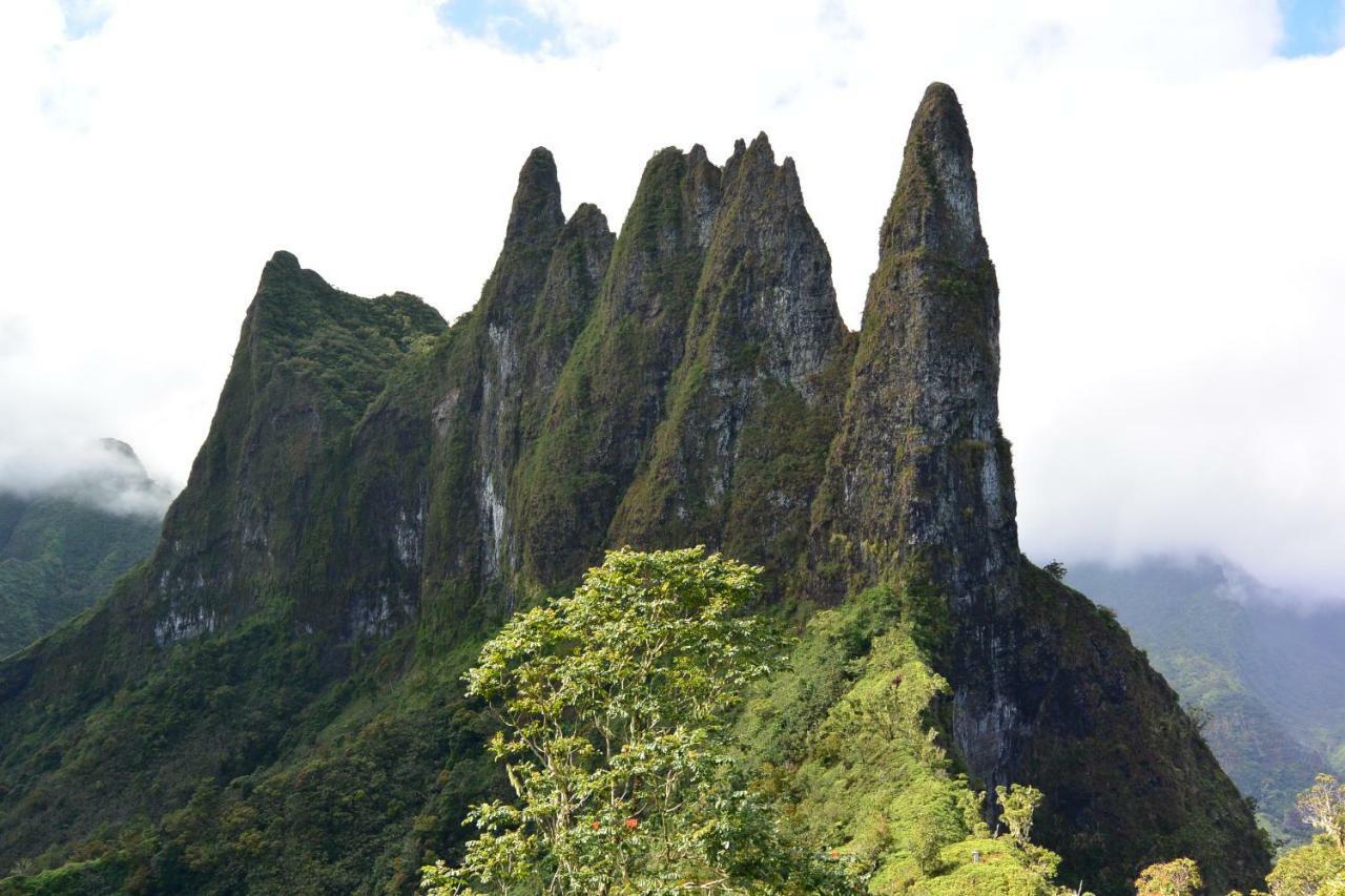 Отель Te Anahau Piti Paea Экстерьер фото